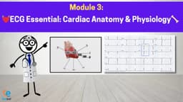 Module 3: ECG Essentials - Cardiac Anatomy, Coronary Circulation & Conduction System