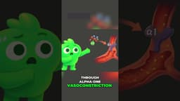 Adrenaline's True Role in Saving Lives #medicaleducation