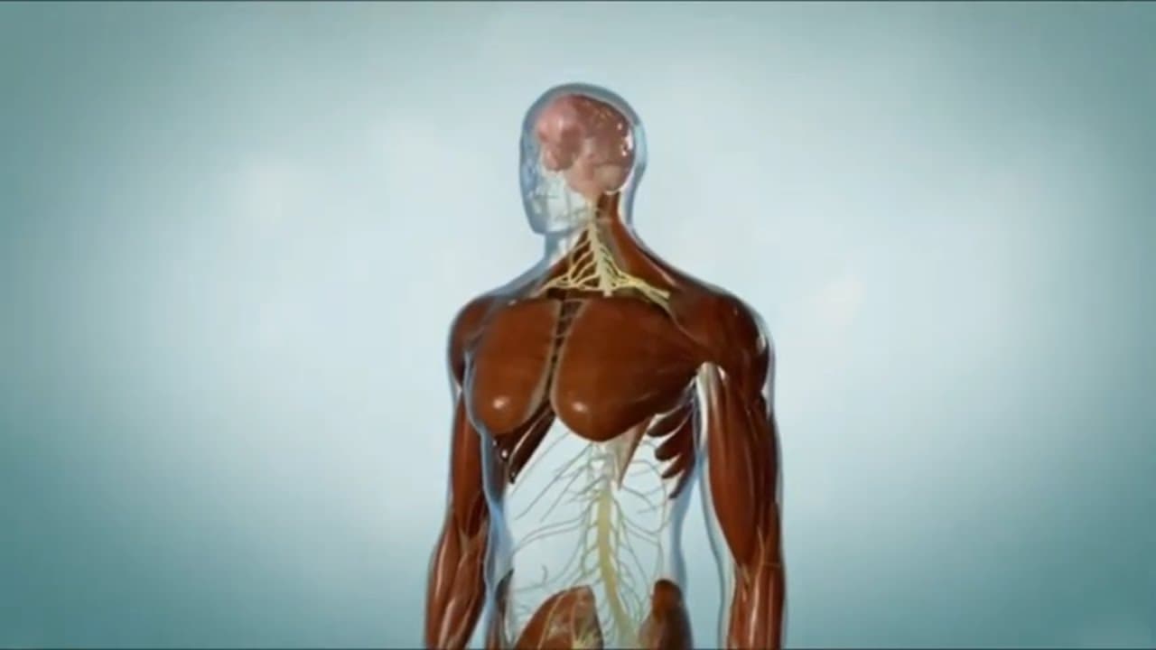 Myasthenia Gravis (MG) : causes, symptoms, diagnosis & treatment options