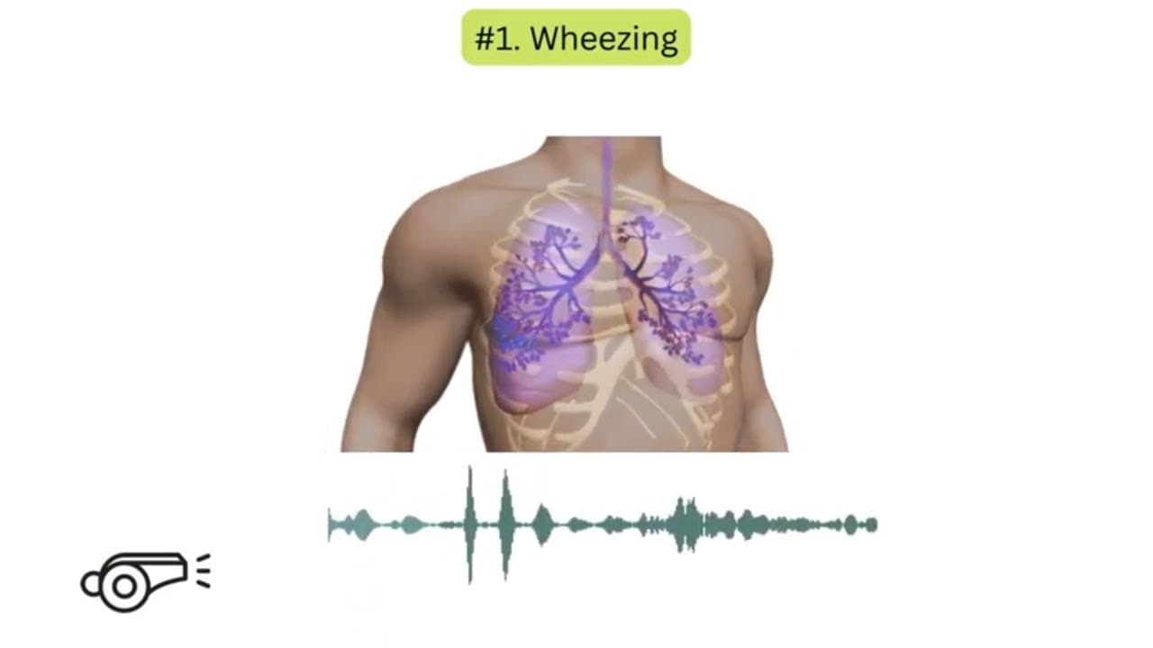 Abnormal lung sounds in COPD