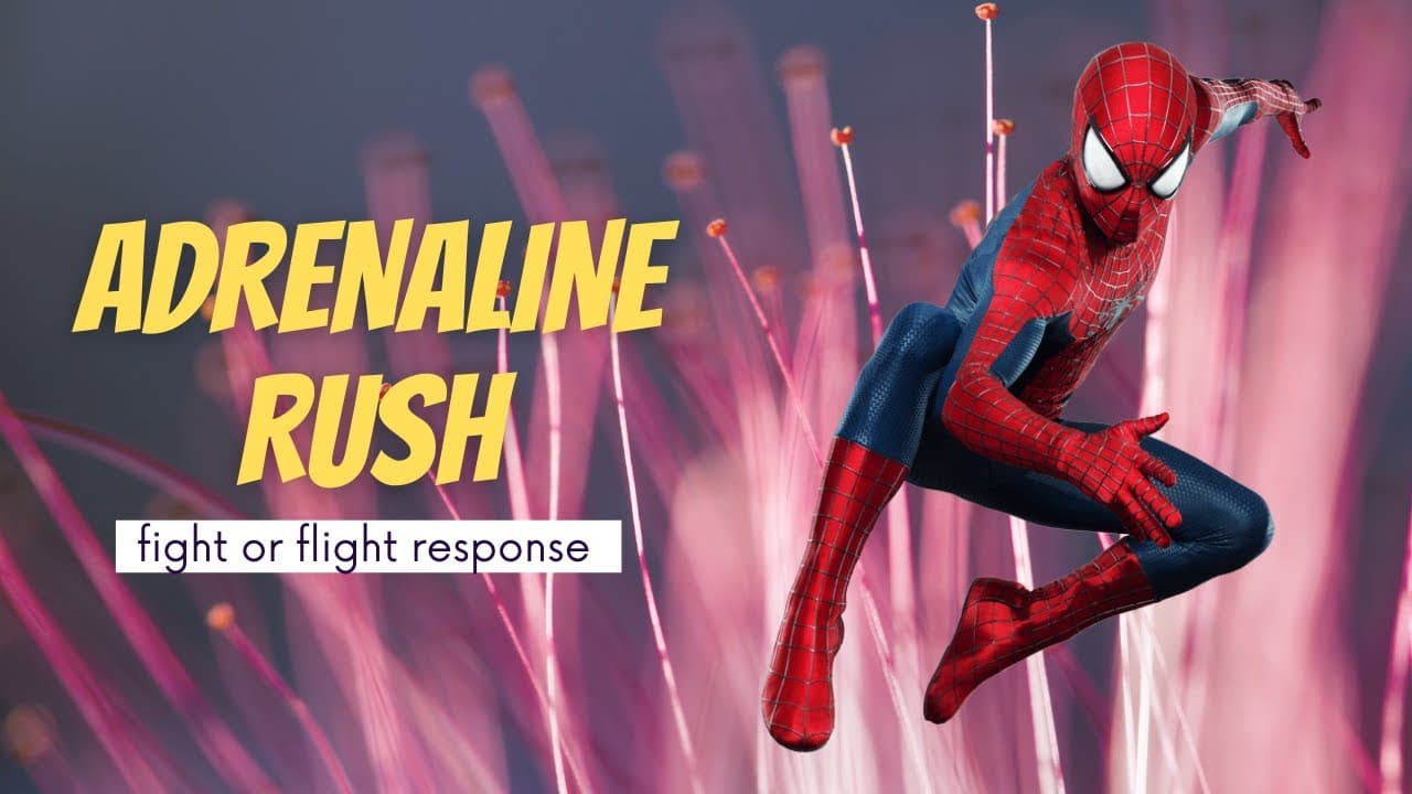 Adrenaline rush: Fight or flight response