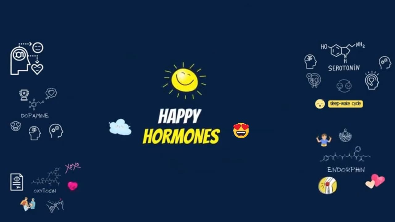 Happy Hormones: quick review and natural ways to boost them